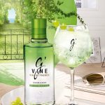 G vine (Γαλλια) 40%